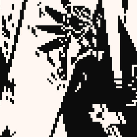 Fanart Pixelart - Lienzo 128x